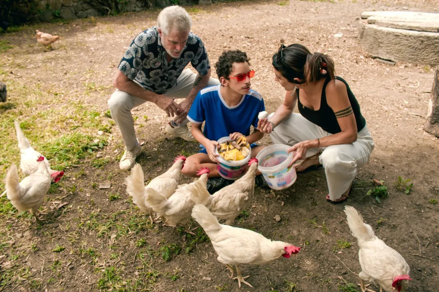 Gallinero
